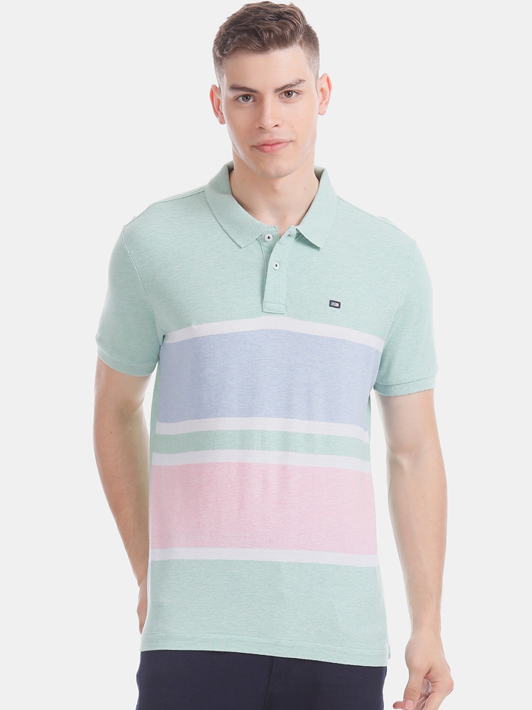 

Arrow Men Green Colourblocked Polo Collar Pure Cotton T-shirt