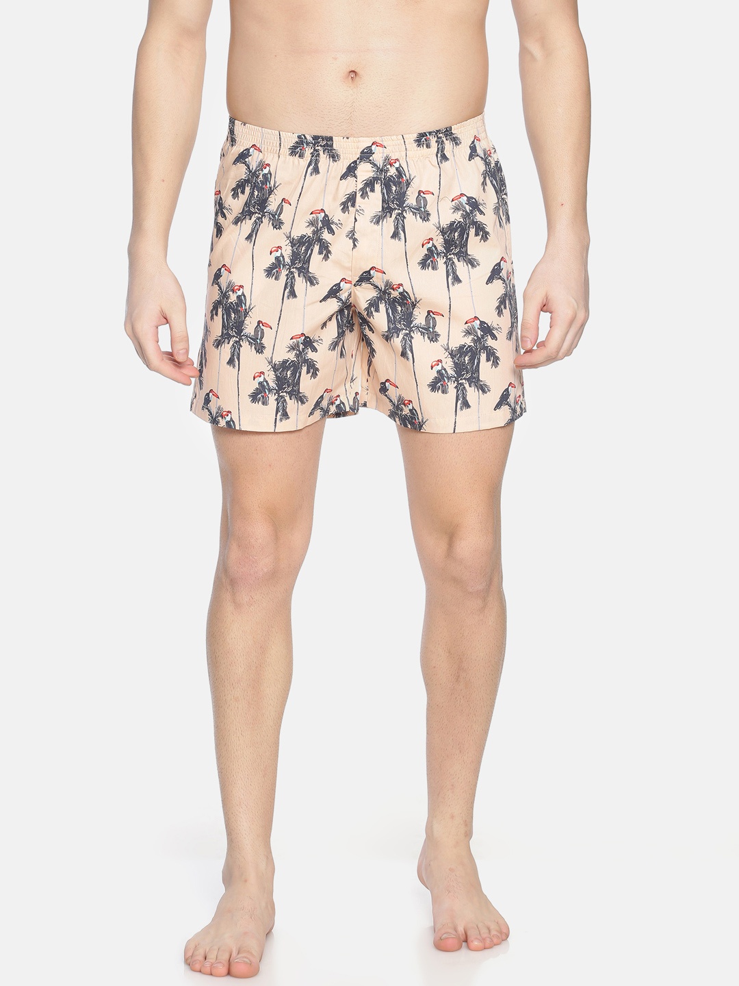

Bene Kleed Men Peach-Coloured & Grey Anti-Bacterial Printed Pure Cotton Boxers BOMBS02SC04L34-3229