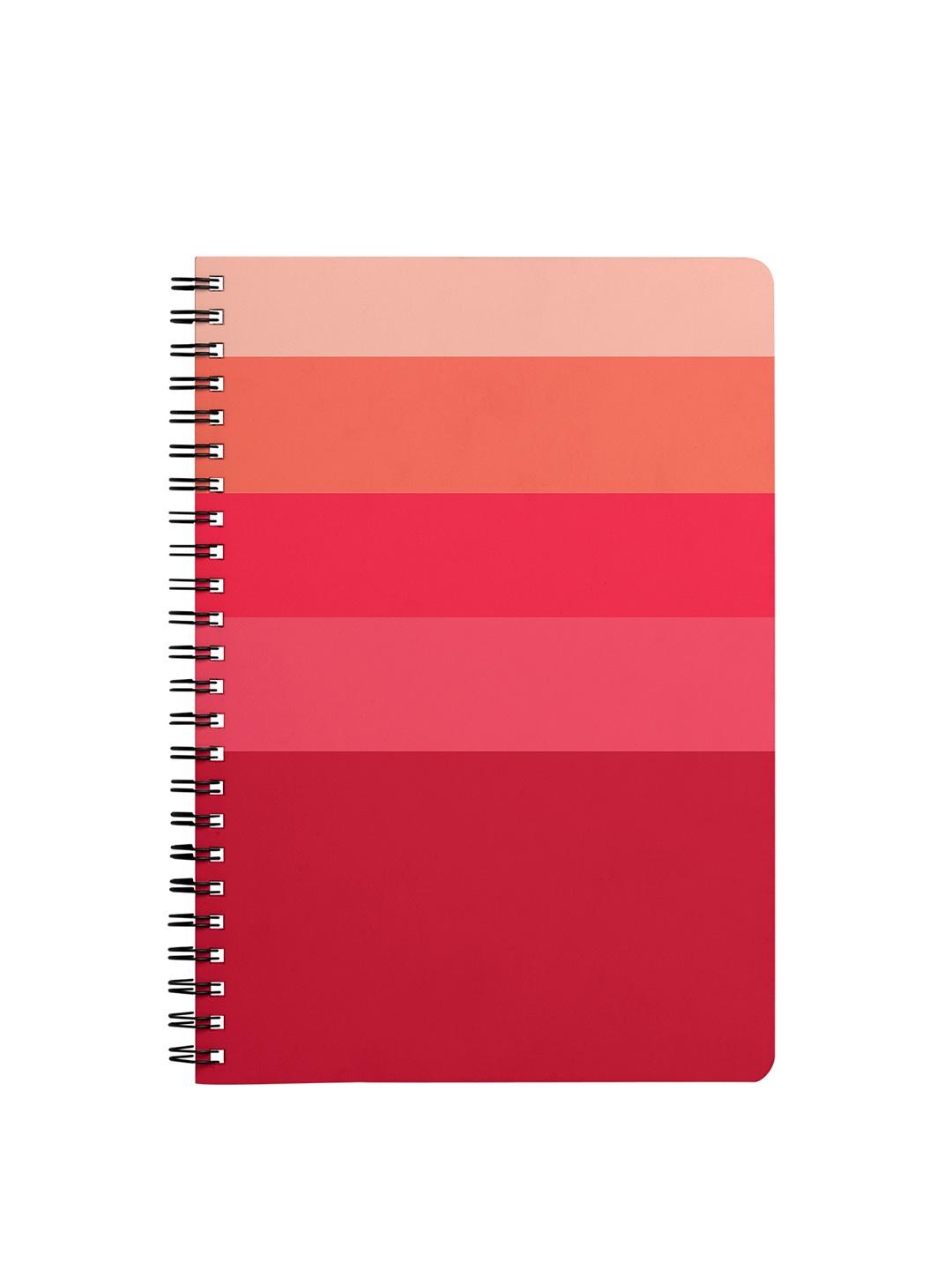 

Dailyobjects Multicoloured Berry Quin A5 Spiral Notebook, Multi