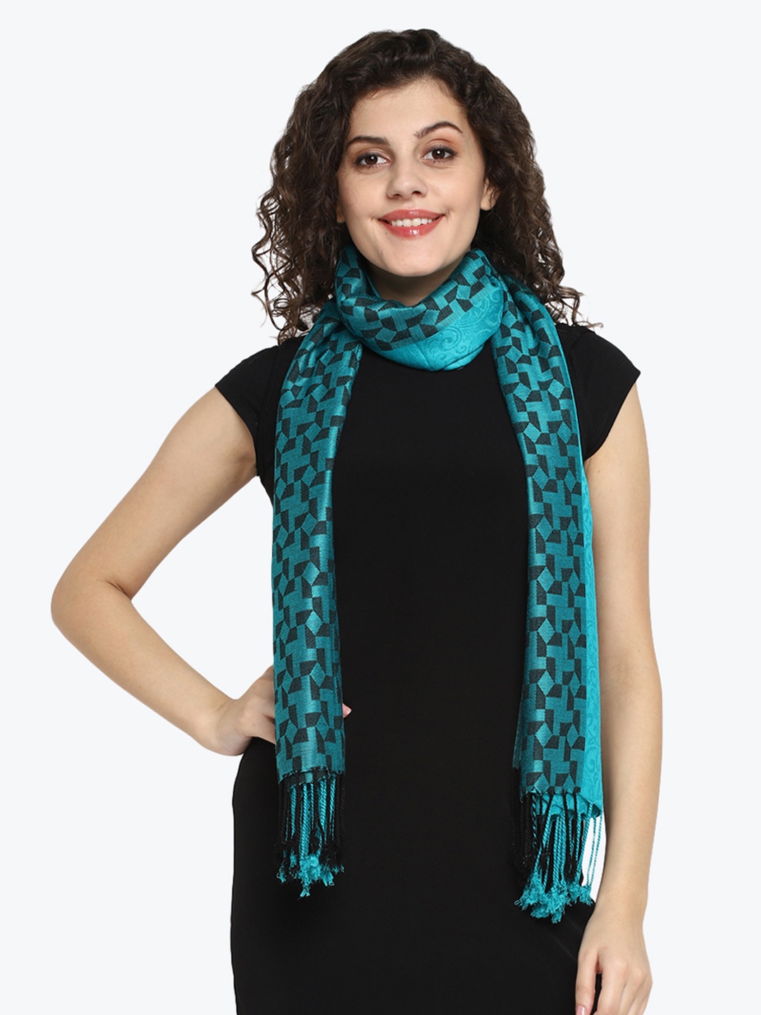 

Aditi Wasan Women Turquoise Blue & Black Woven Design Stole