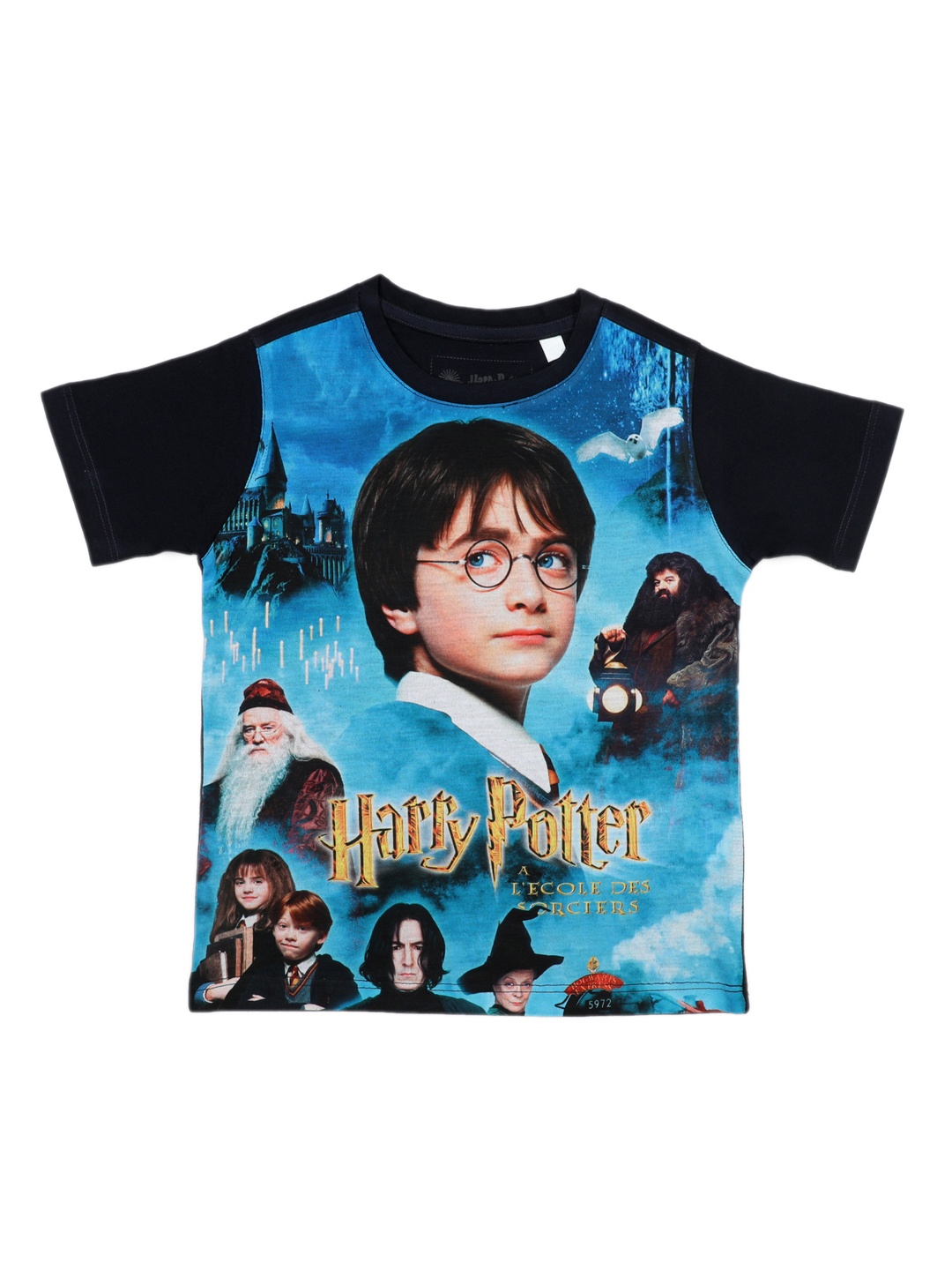 

Harry Potter Boys Blue Printed Round Neck T-shirt