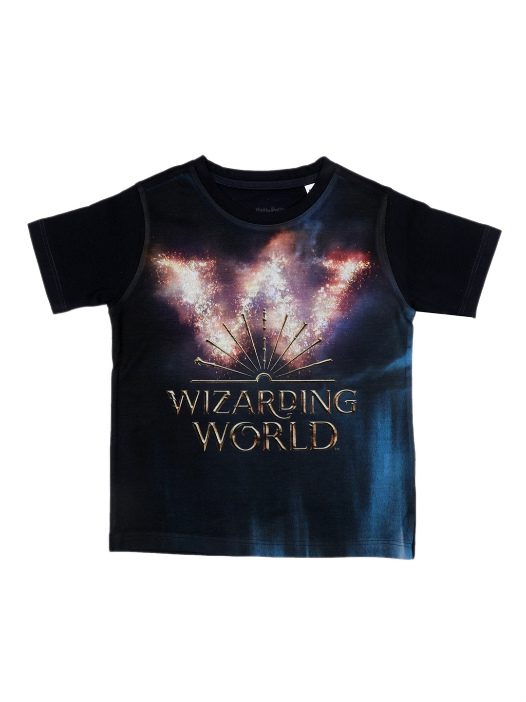 Harry Potter Boys Navy Blue Printed Round Neck T-shirt