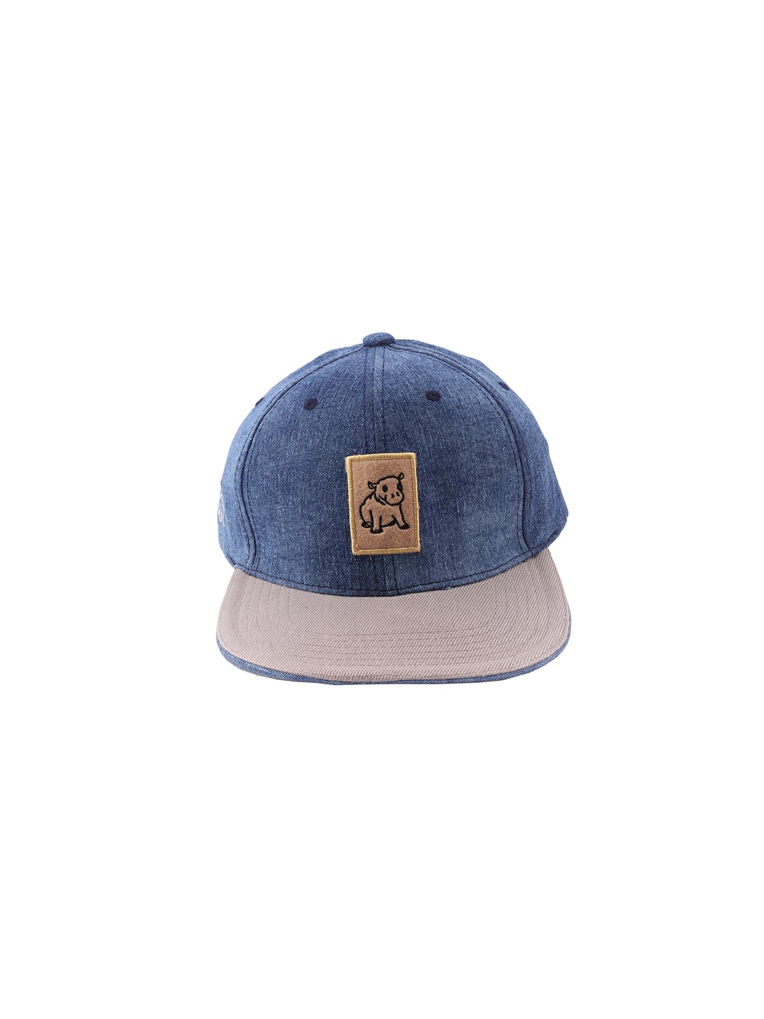 

Cap Shap Unisex Blue & Beige Colourblocked Baseball Cap