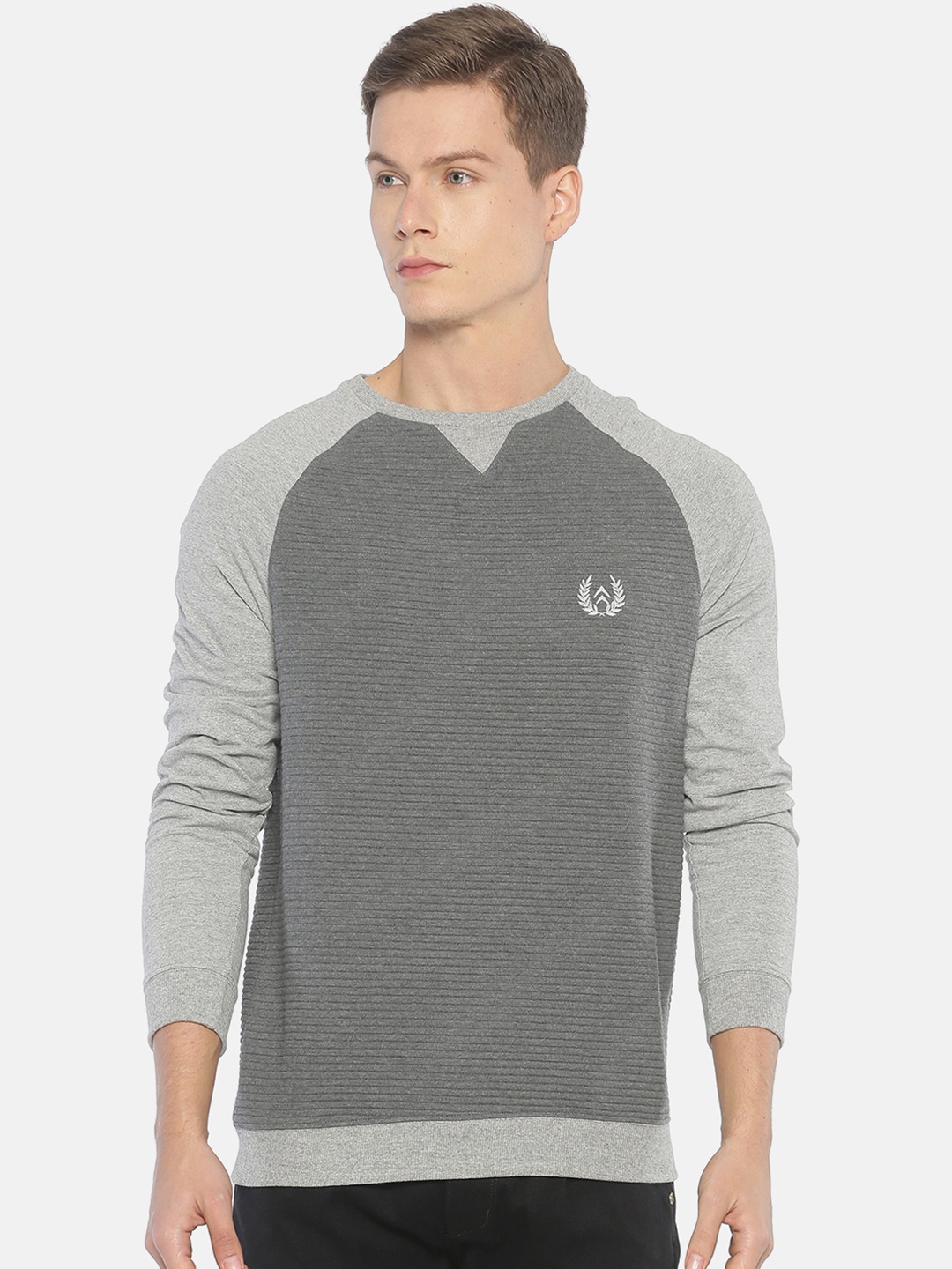 

Steenbok Men Grey Solid Sweatshirt