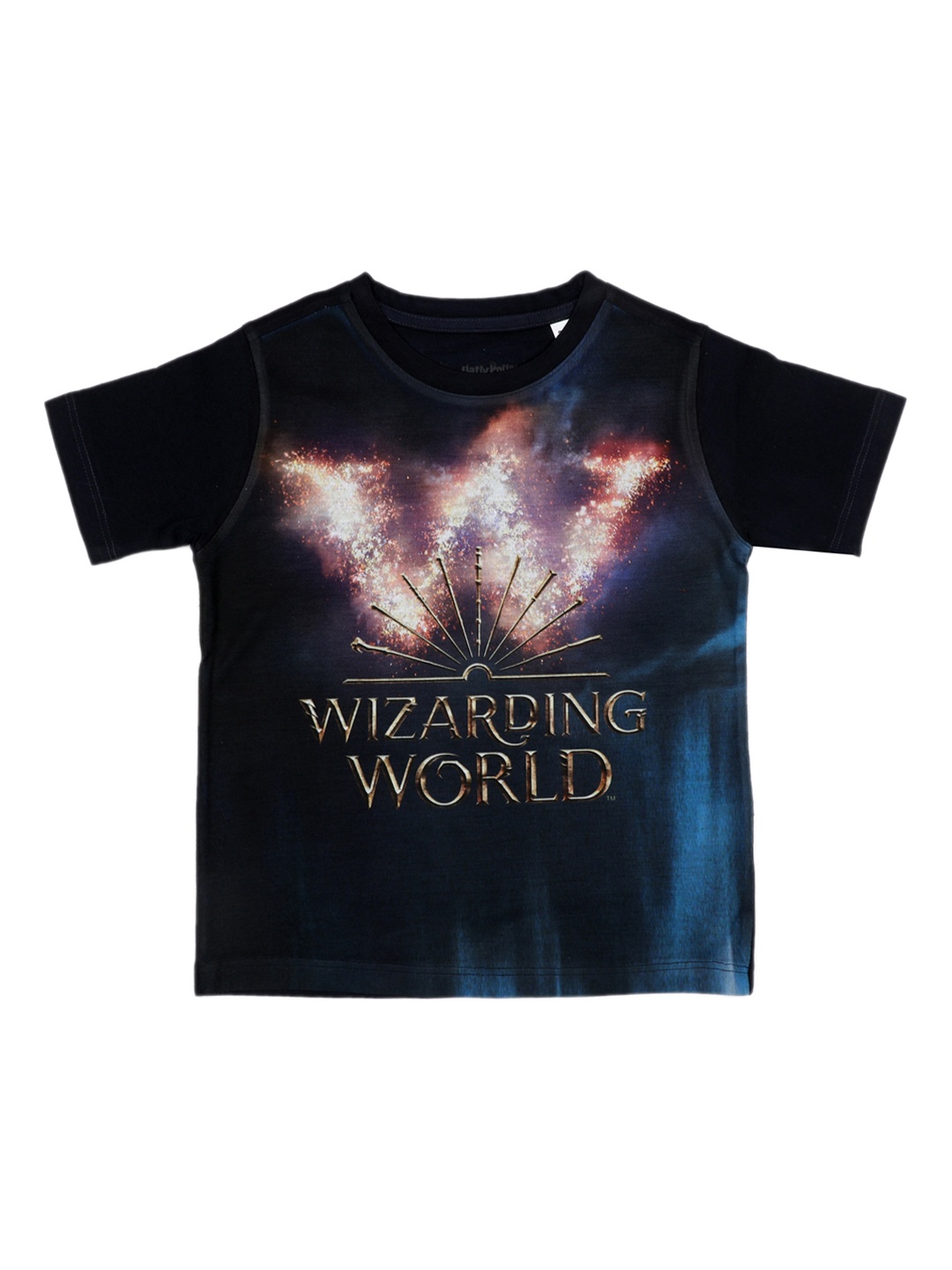 

Harry Potter Boys Navy Blue Printed Round Neck T-shirt