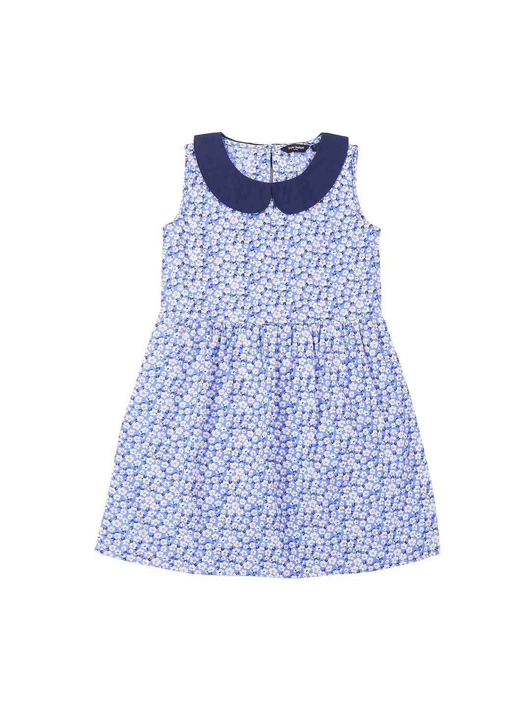 Style Quotient Girls Blue Printed Fit and Flare Dress