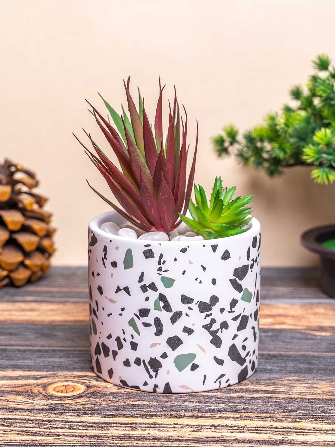 

TIED RIBBONS White & Black Printed Ceramic Planter