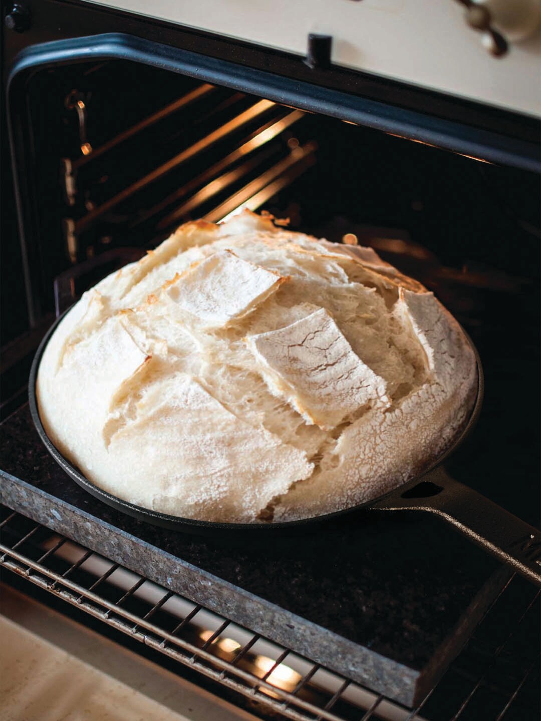 

MEYER Black Pre-Seasoned Cast Iron Fry Pan