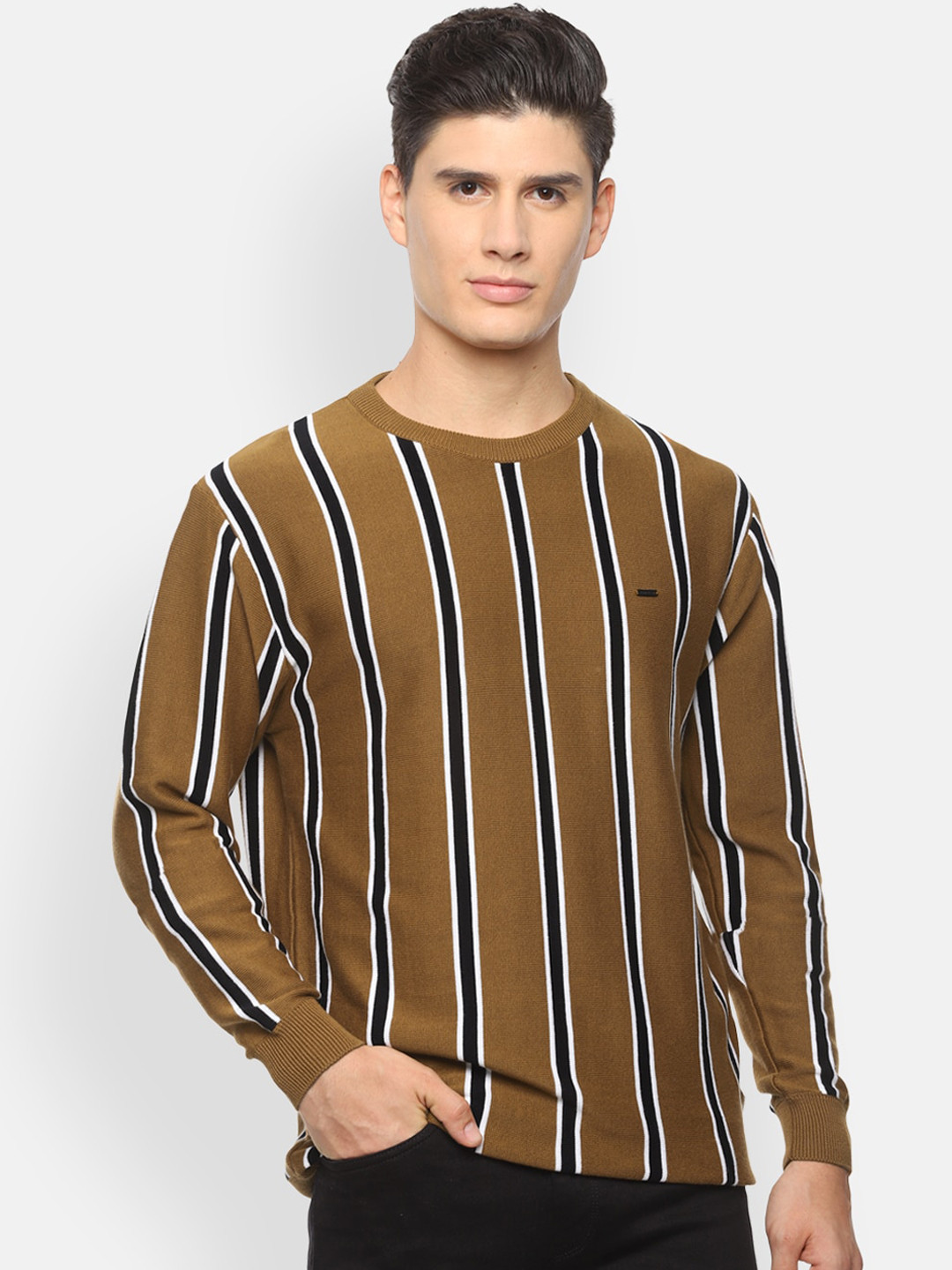 

Van Heusen Sport Men Olive Green & Black Striped Pullover Sweater
