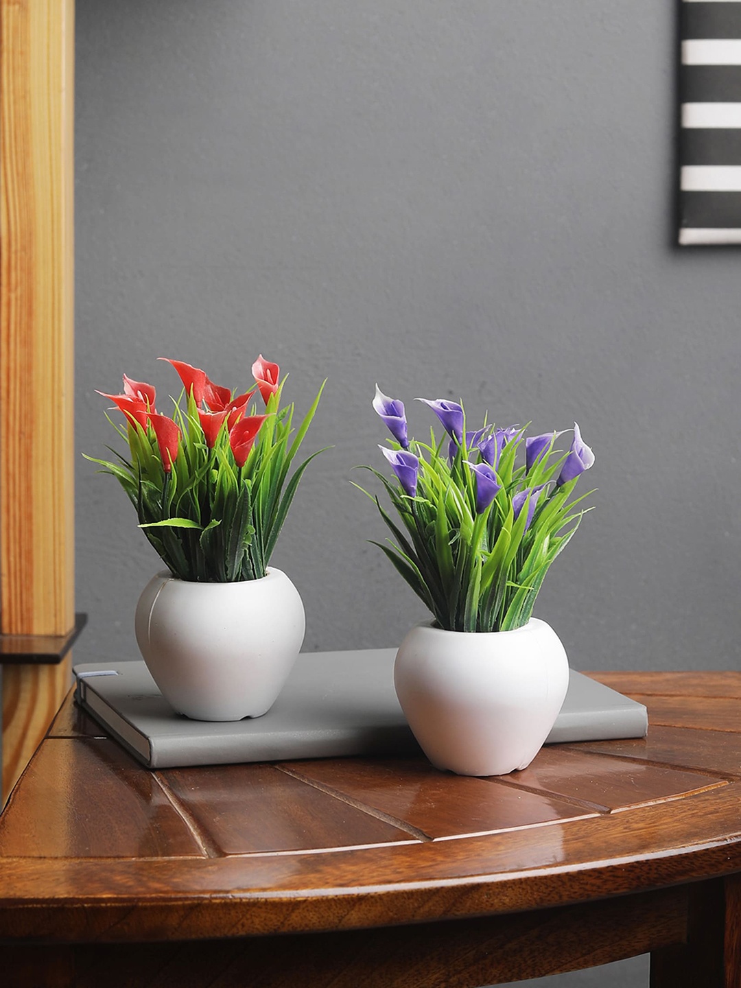 FOLIYAJ Set of 2 Mini Plants With Cynthia Flowers With Pot, Green