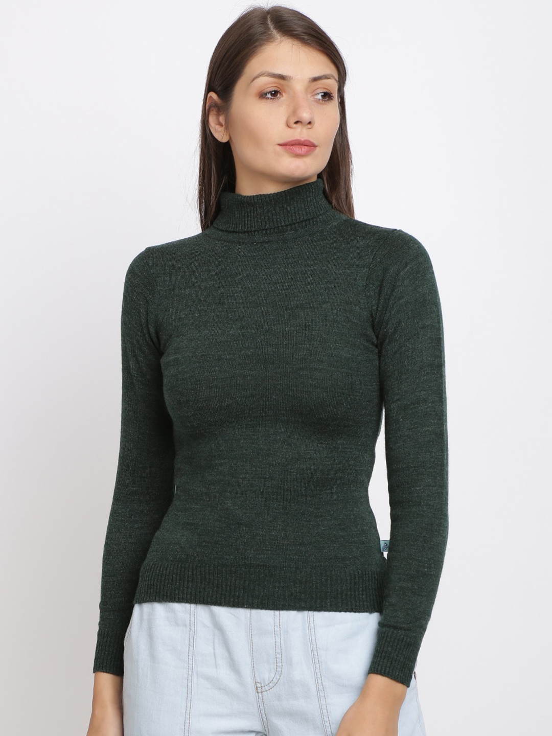 

BEVERLY BLUES Women Green Solid Slim-Fit Pullover Sweater