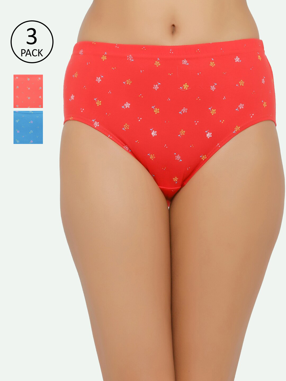 

Chipbeys Women Pack of 3 Assorted Hipster Briefs NLIYAFSC527