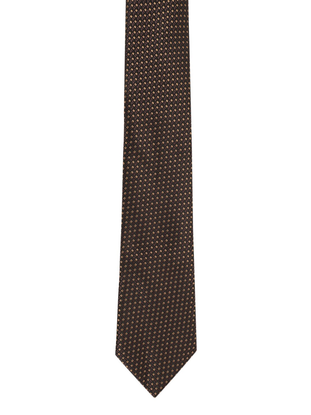 

Alvaro Castagnino Men Brown Printed Broad Tie