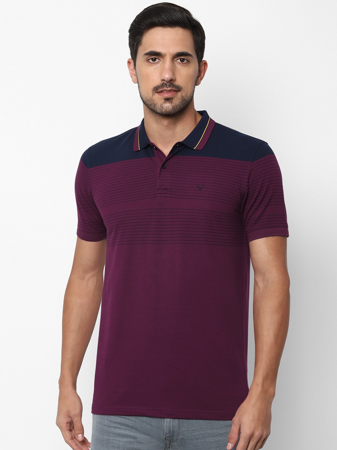 

Allen Solly Men Purple Striped Polo Collar Pure Cotton T-shirt