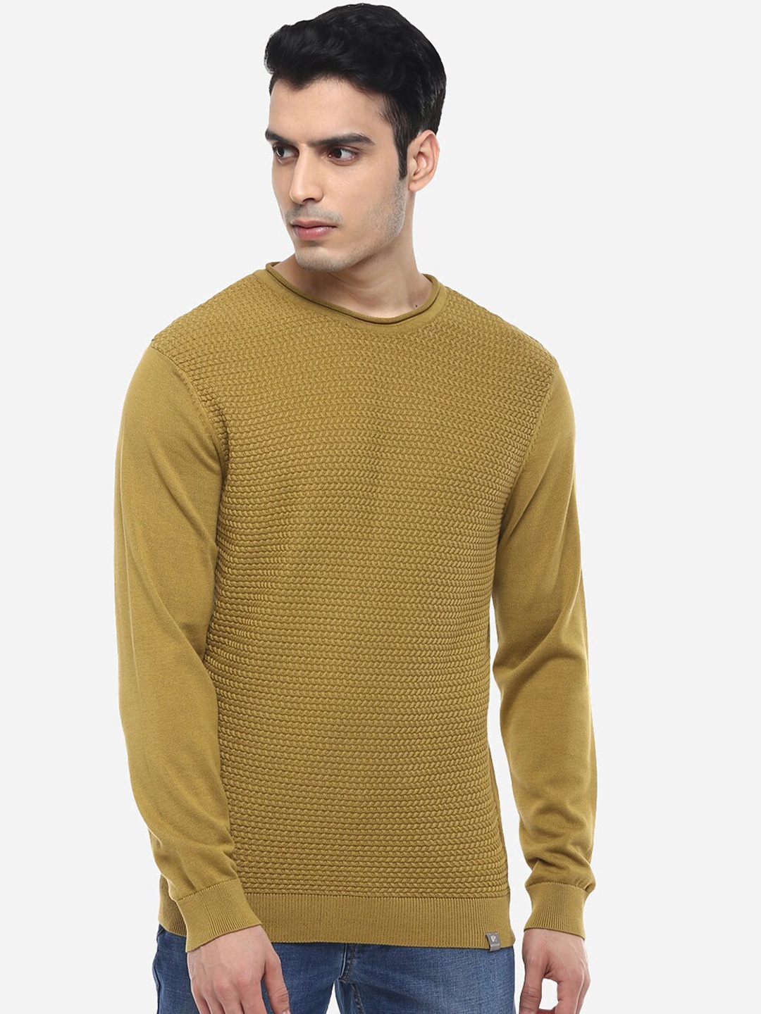 

Red Chief Men Olive Green Solid Pullover Sweater