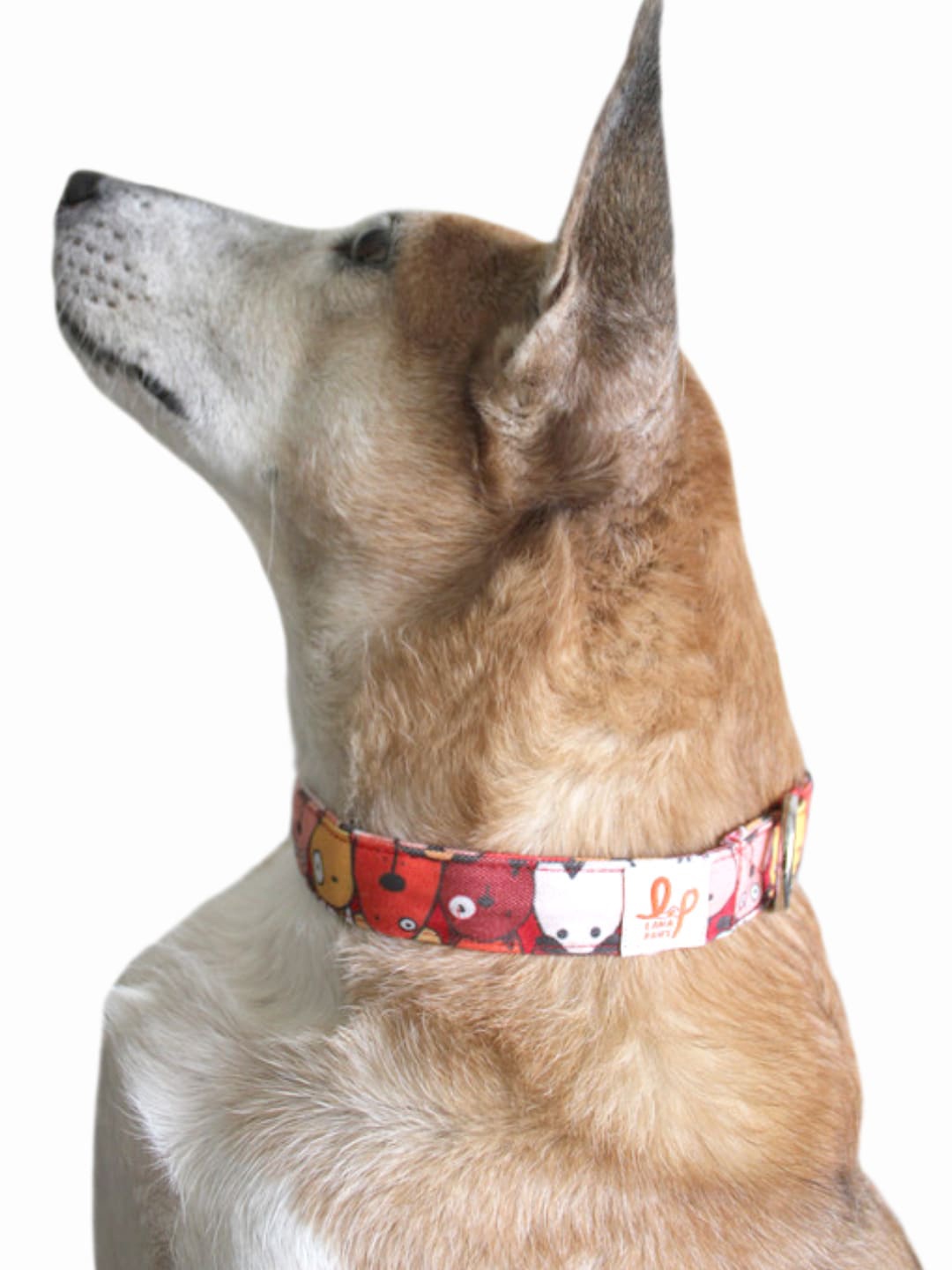 

LANA PAWS Red Printed Canvas Sturdy Dog Collar