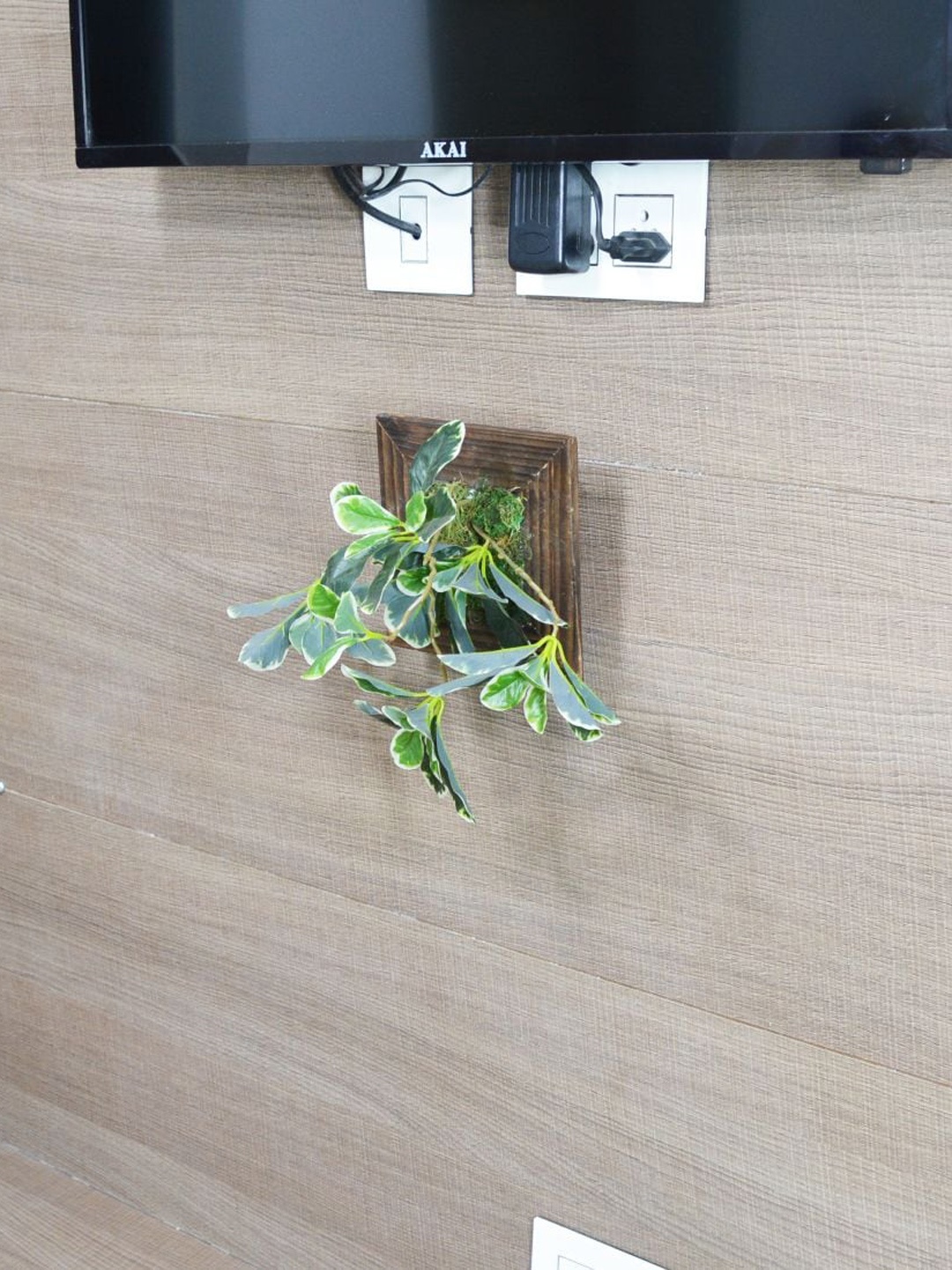 

fancy mart Green Artificial Wall Ficus Plant With Hanging Panel