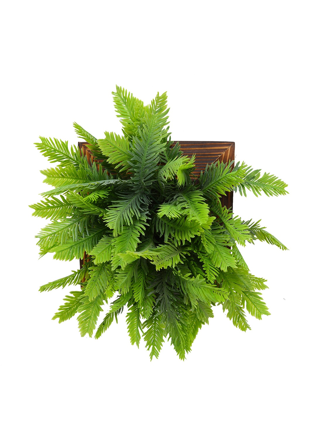 

fancy mart Green Artificial Cypress Plant With Wall Hanging Panel