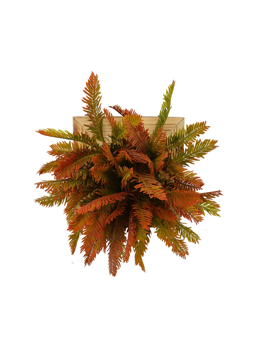 

fancy mart Orange & Green Artificial Cypress Plant With Wall Hanging Panel