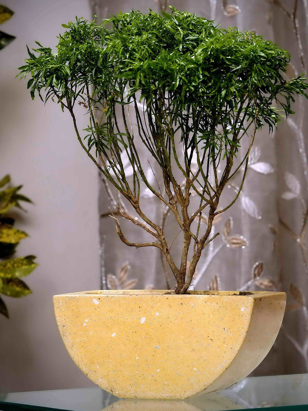 

POSH-N-PLUSH Yellow Solid Terrazzo Planter