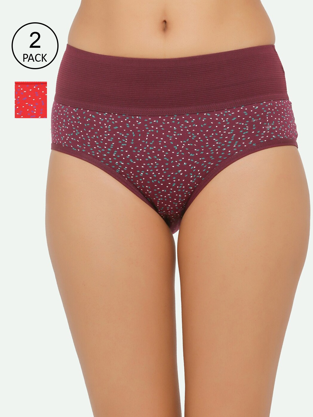 

Chipbeys Women Pack Of 2 Assorted High-Rise Hipster Briefs NshefaliDCc260