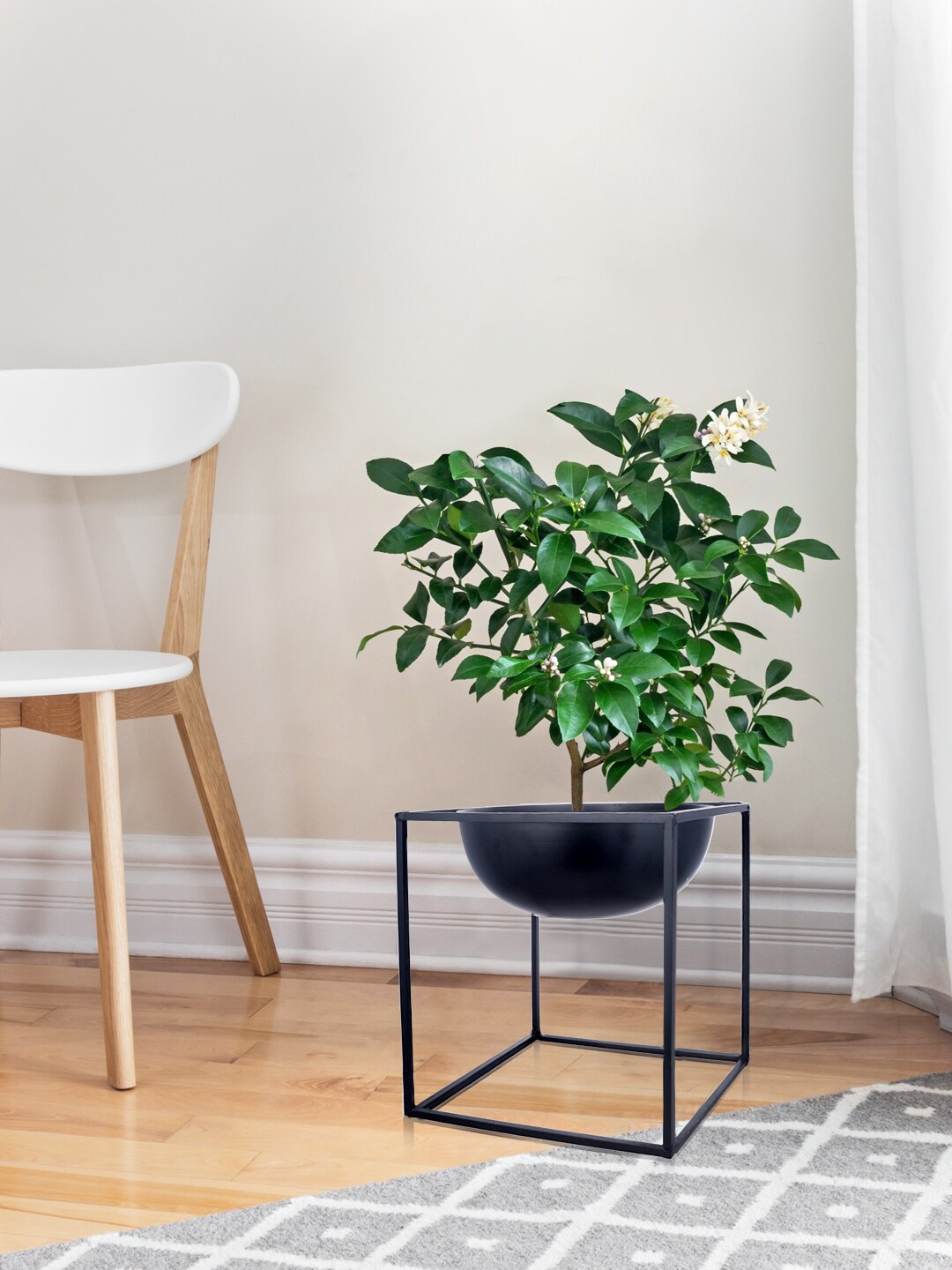 

green girgit Black Solid Metal Floor Planter Pot with Attached Stand