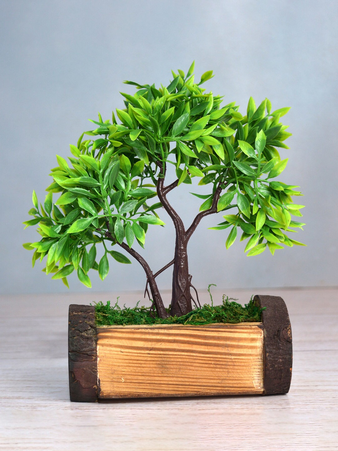 

fancy mart Green & Beige Artificial Bonsai Mix Plant With Pot
