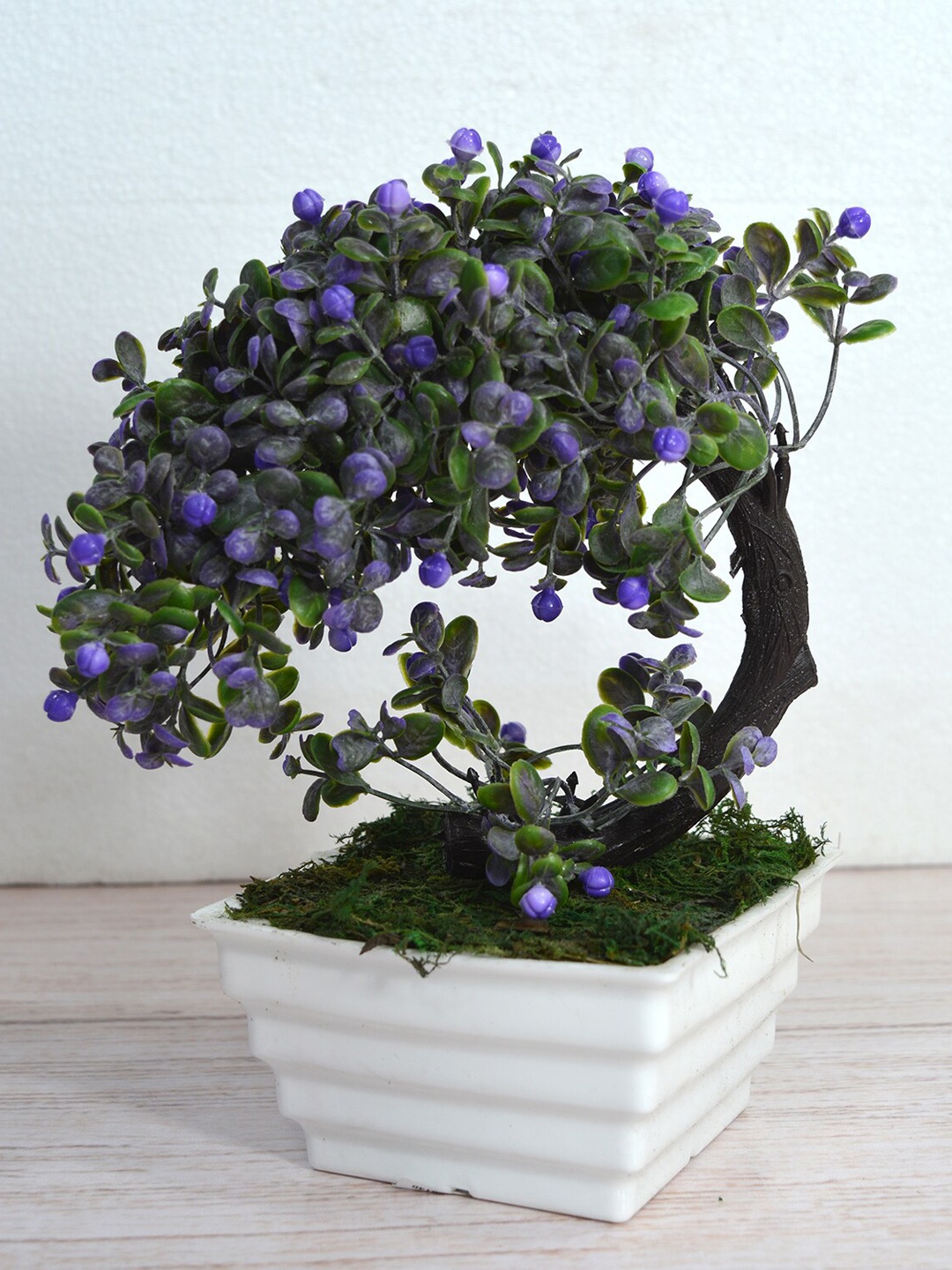 

fancy mart Blue & Green Artificial Bonsai Bend Tree In Topaz Pot