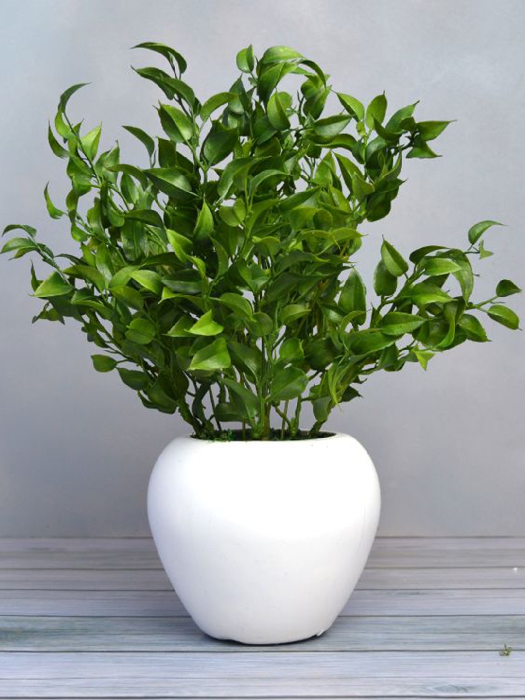 

fancy mart Green & White Artificial Latex Plant In Apple Pot