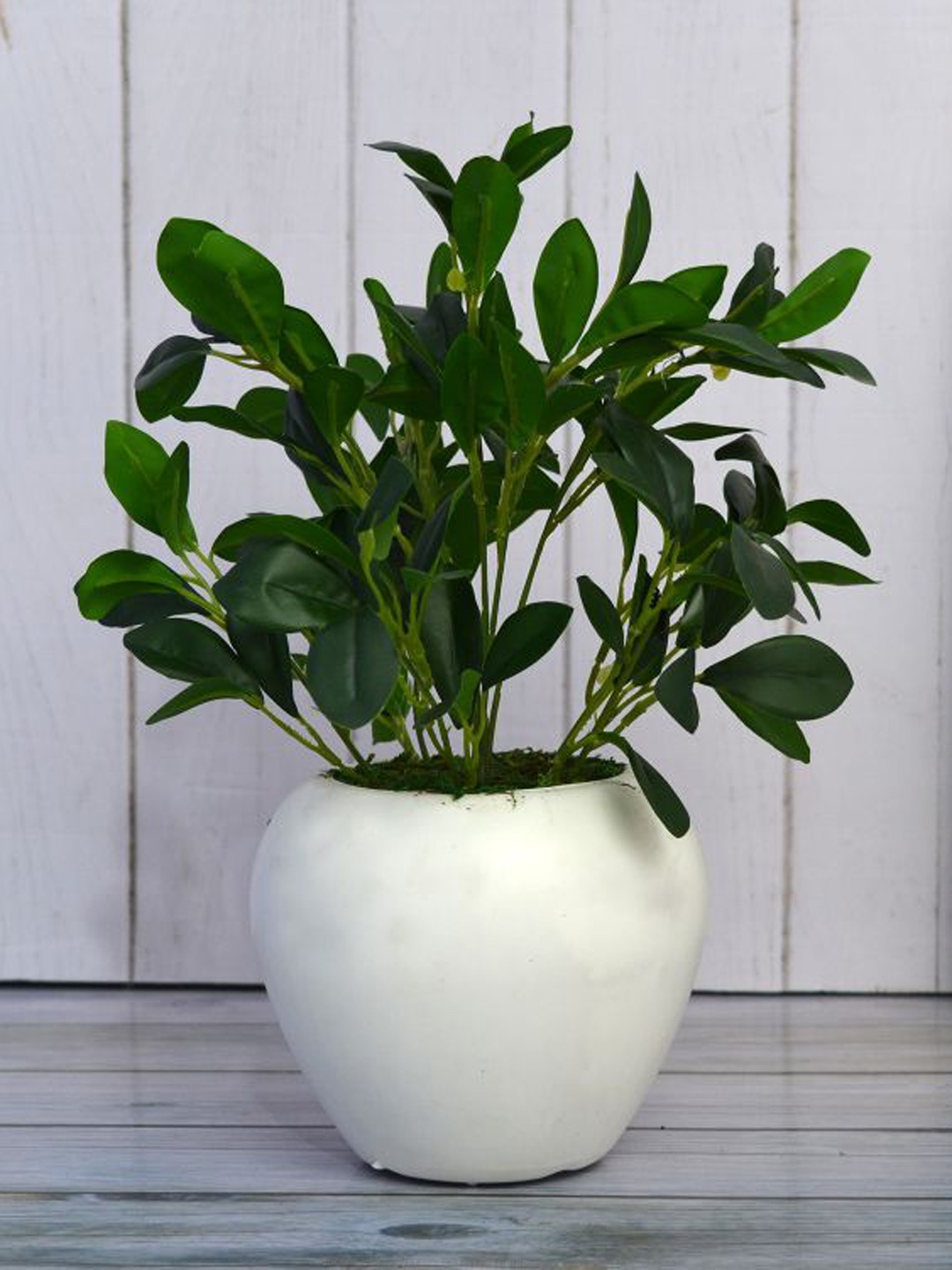 Fancy Mart Green Leaves In White Pot