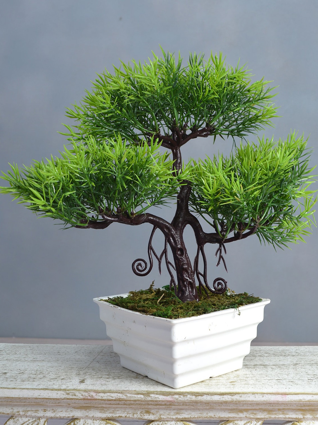 

fancy mart Green Bonsai Topaz Tree in White Topaz Pot