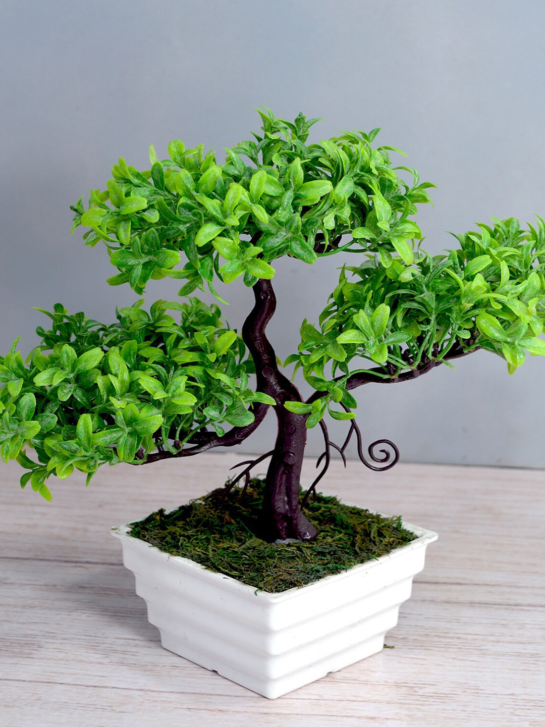 

fancy mart Green & White Artificial Bonsai Tree In Topaz Pot