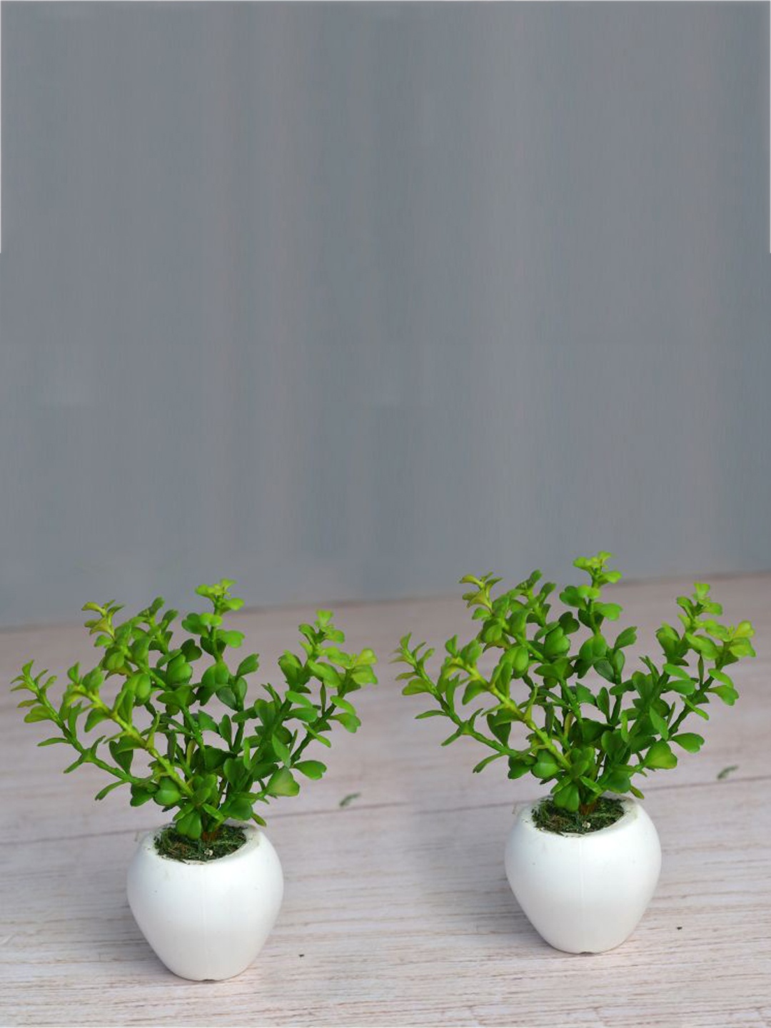 

fancy mart Set Of 2 Artificial Jada Plant In Small Apple Pot, Green