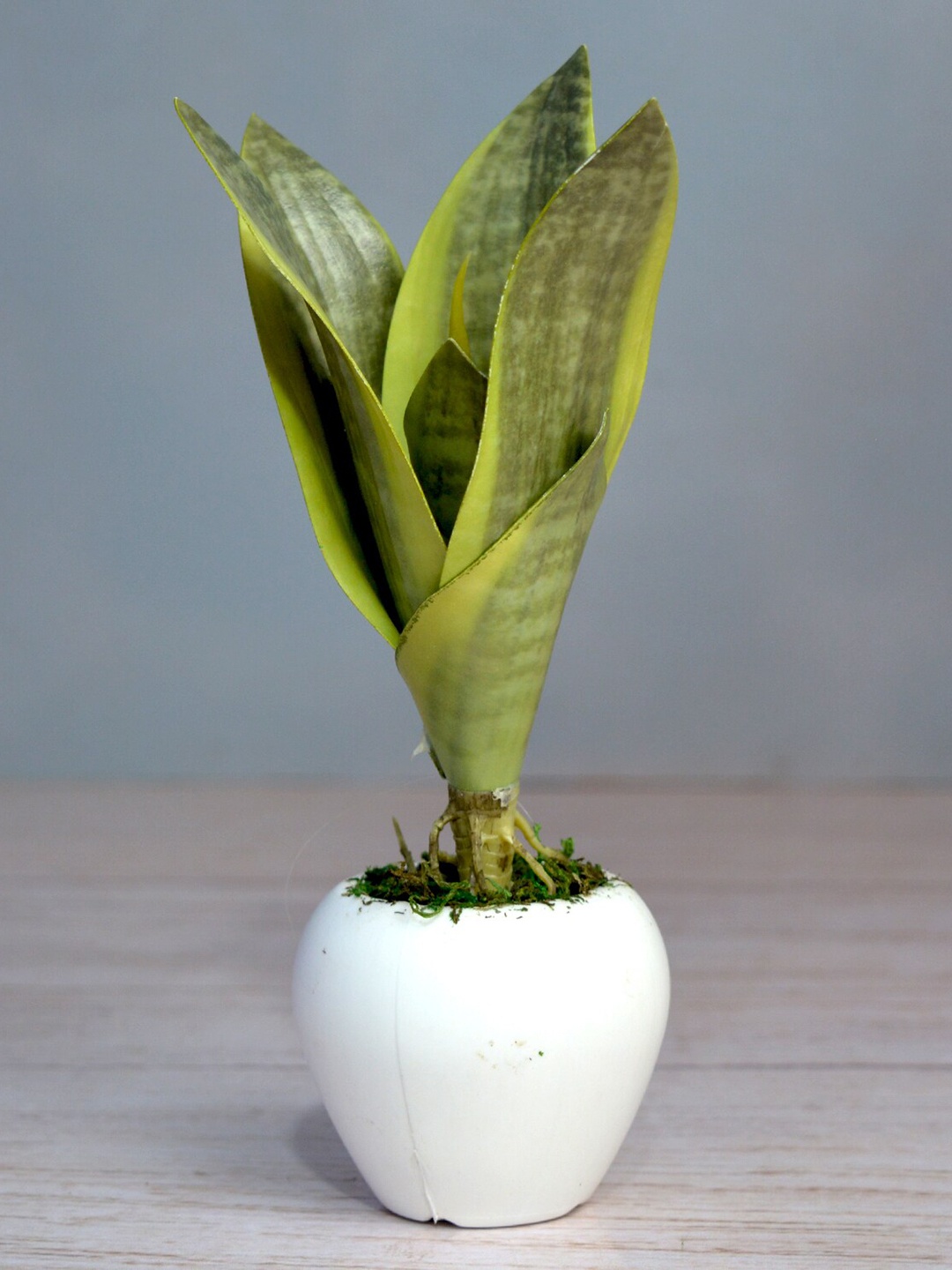 

fancy mart Green Artificial Snake Plant in White Small Apple Pot