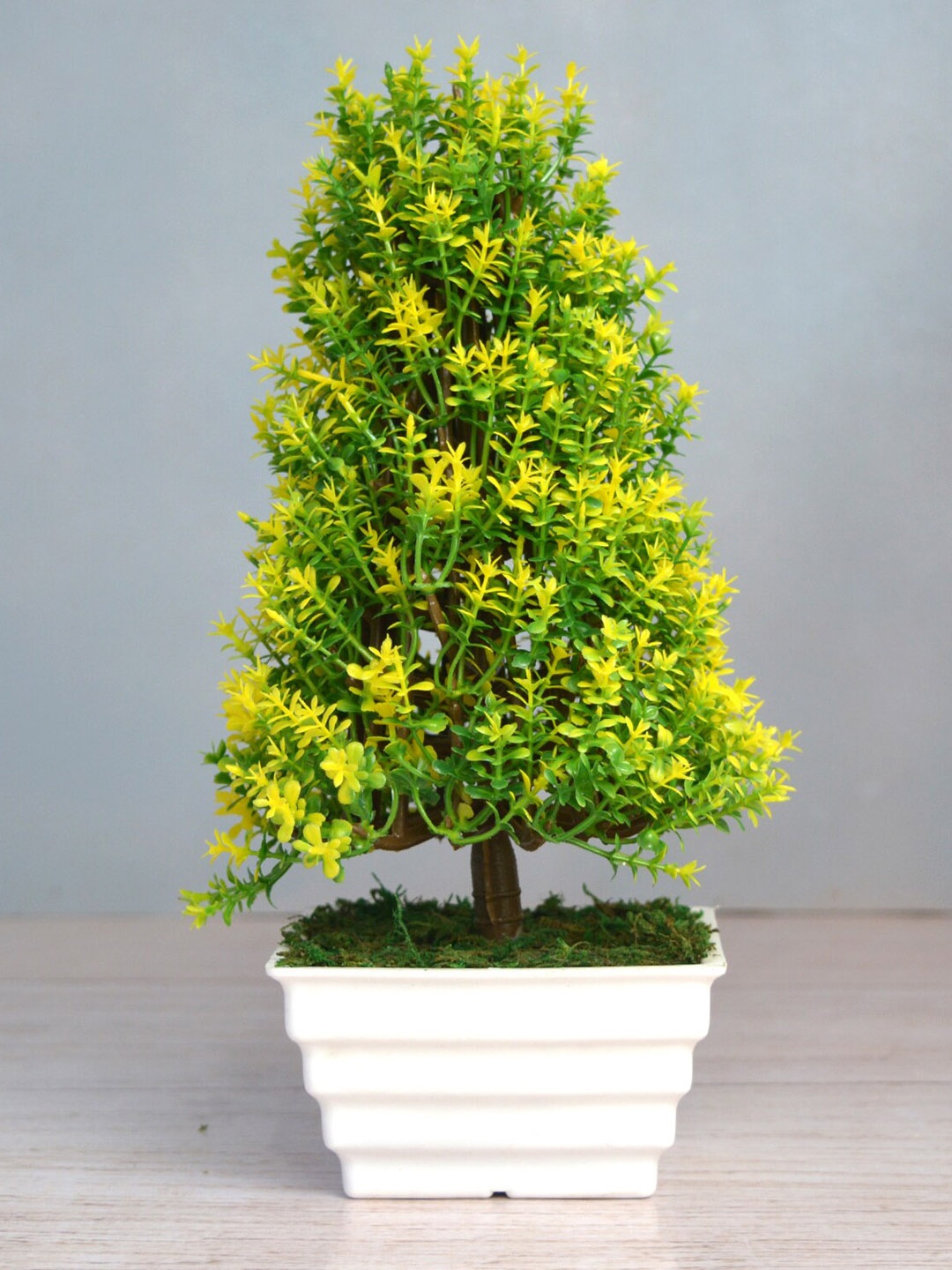 

fancy mart Green & Yellow Artificial Cone Bonsai In Topaz Pot