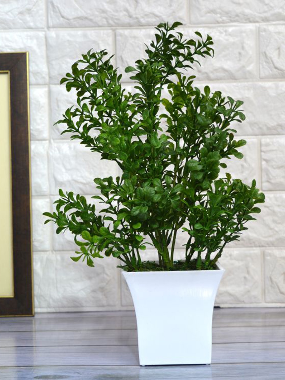 

fancy mart Green & White Artificial Fenugreek Plant In Ruby Pot