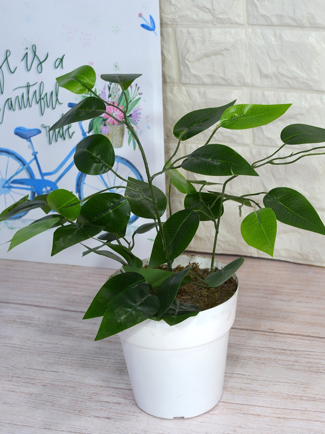 

fancy mart Green Artificial Ficus Spray in White Cone Pot