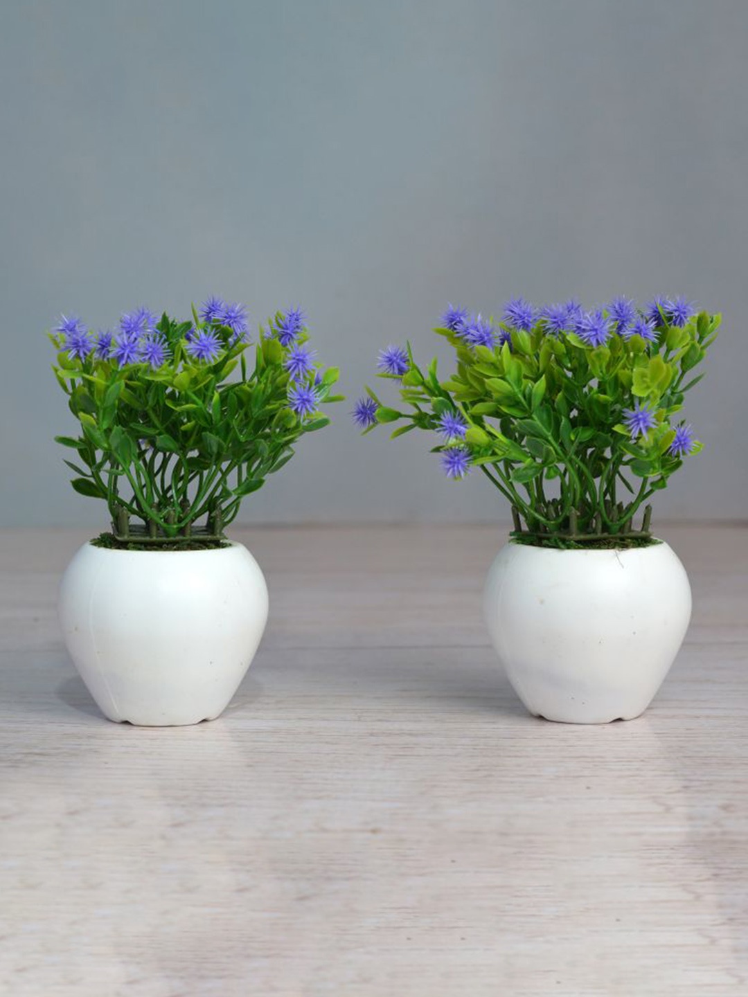 

fancy mart Set Of 2 Artificial Mix Bonsai In Apple Pot, Blue