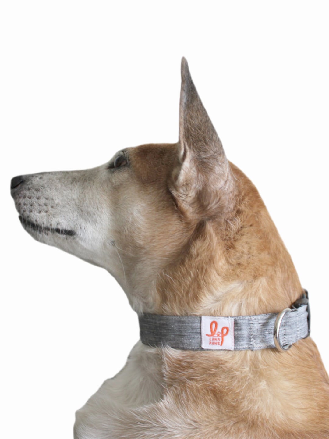 

LANA PAWS Grey & Silver-Toned Self-Design Sustainable Dog Collar