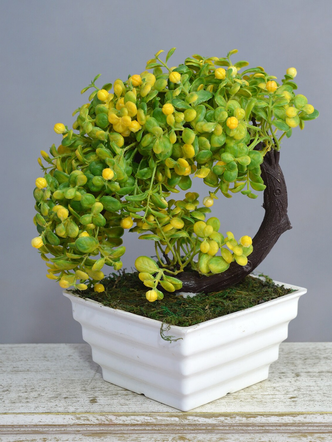 

fancy mart Green & Yellow Artificial Bonsai Bend Tree In Topaz Pot