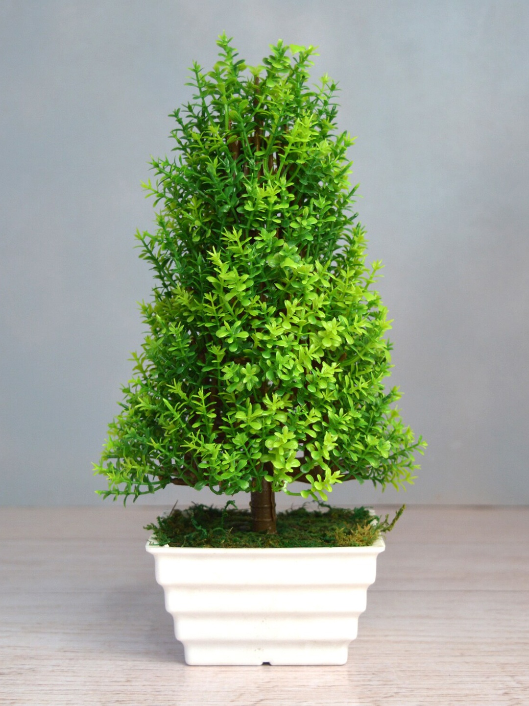 

fancy mart Green & White Artificial Cone Bonsai In Topaz Pot