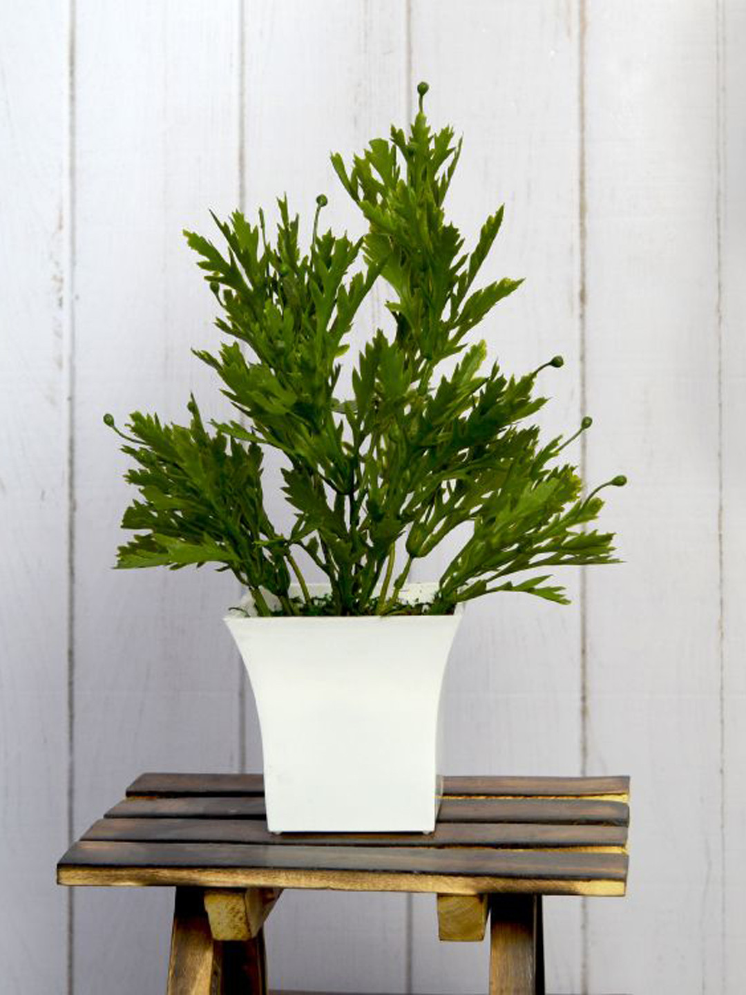 

fancy mart Green & White Artificial Carrot Leaves Beads In Ruby Plant