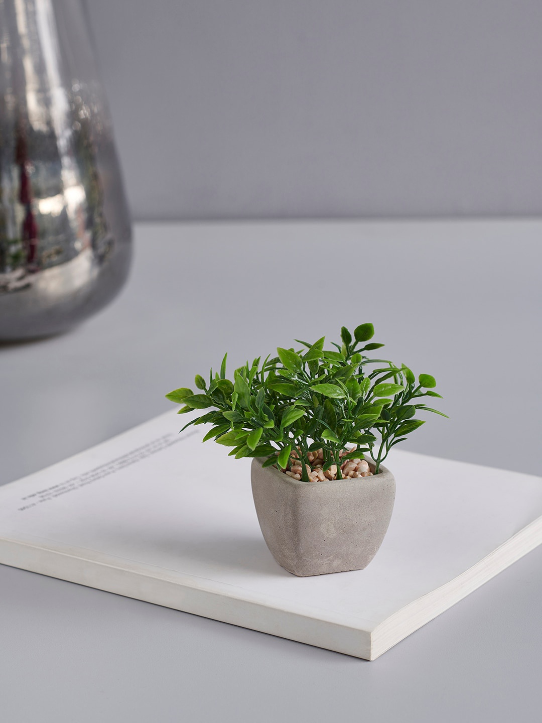 Pure Home and Living Green & Grey Succulent Planter Pot
