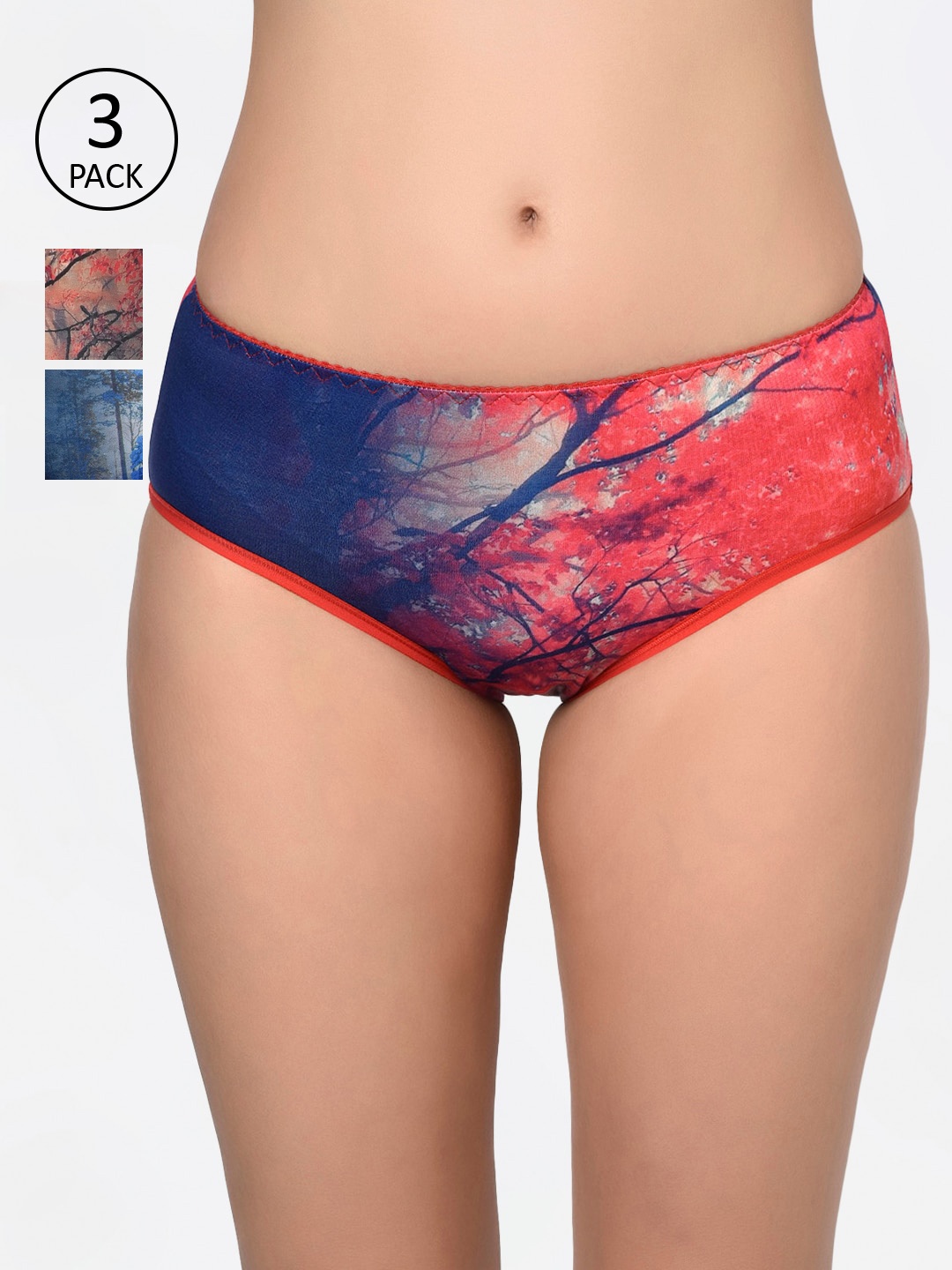 

Bodycare Women Pack Of 3 Assorted Hipster Briefs-9015