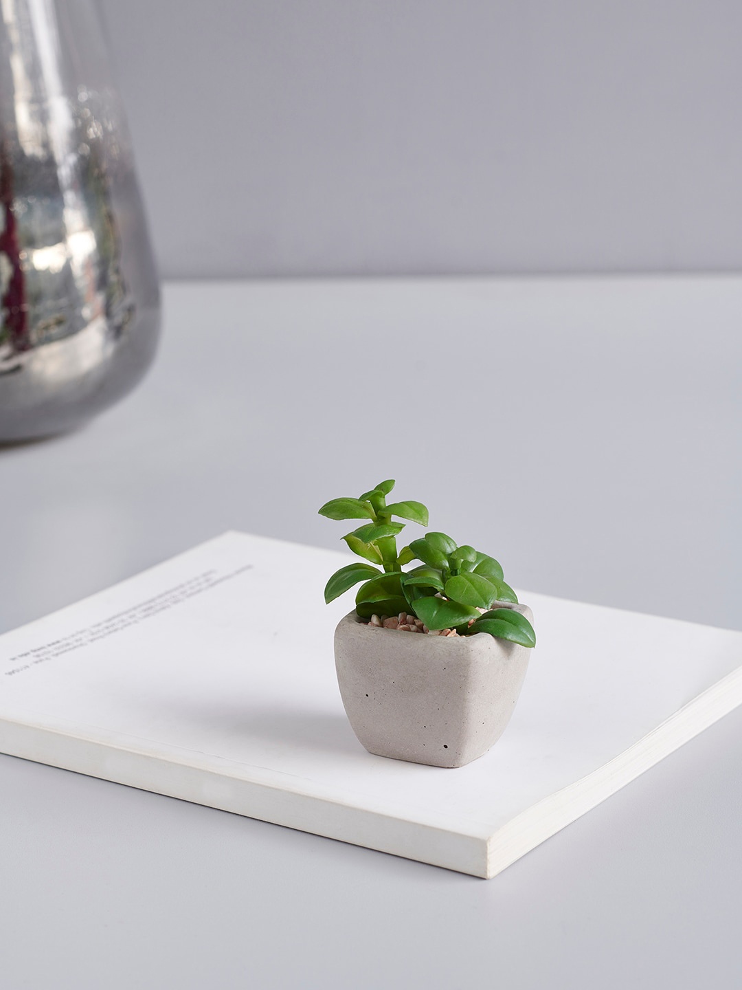 Pure Home and Living Green Succulent Planter