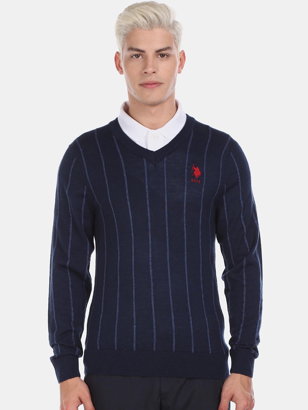 

U.S. Polo Assn. Men Blue Striped