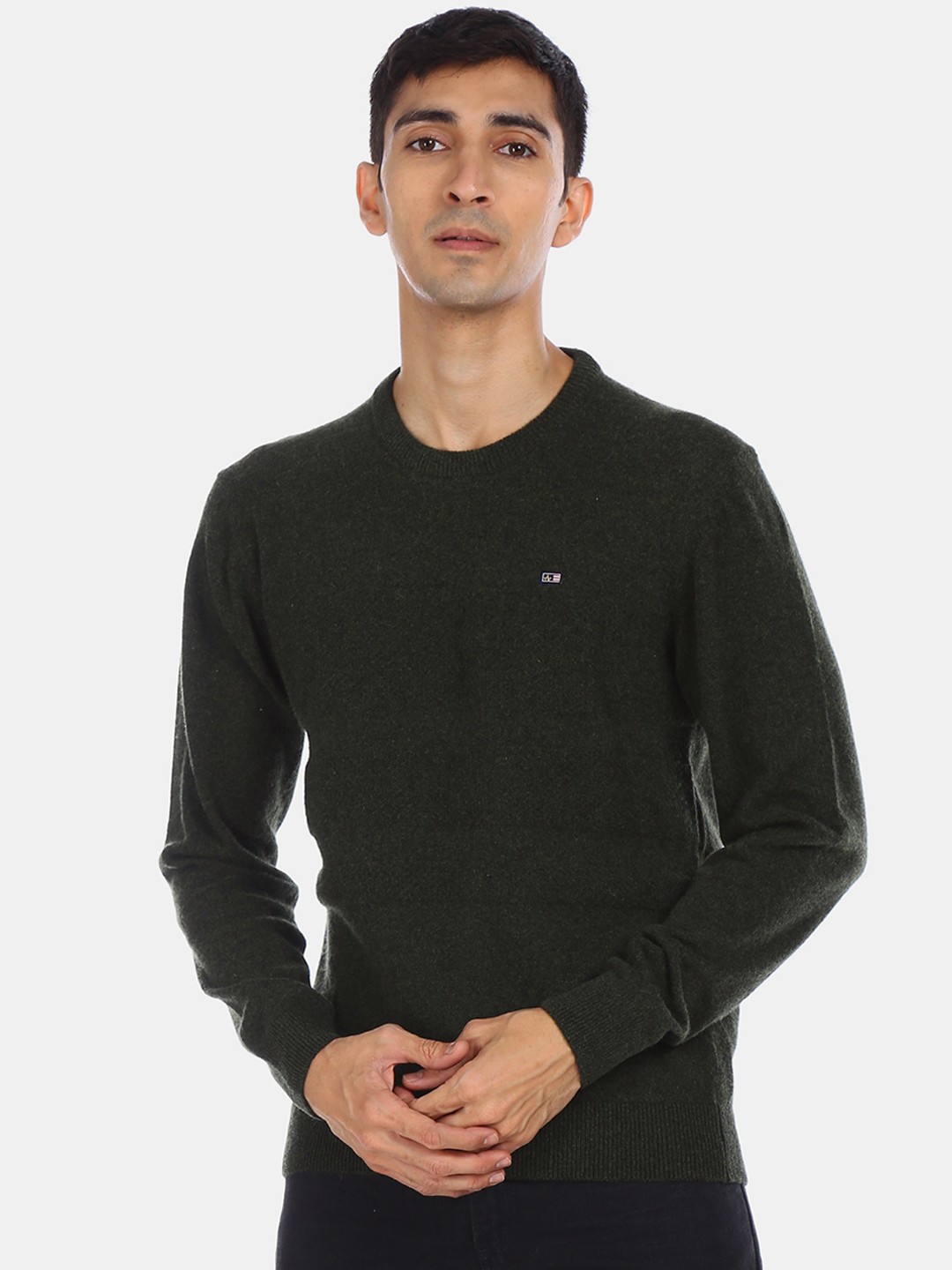 

Arrow Sport Men Green Solid Pullover Sweater