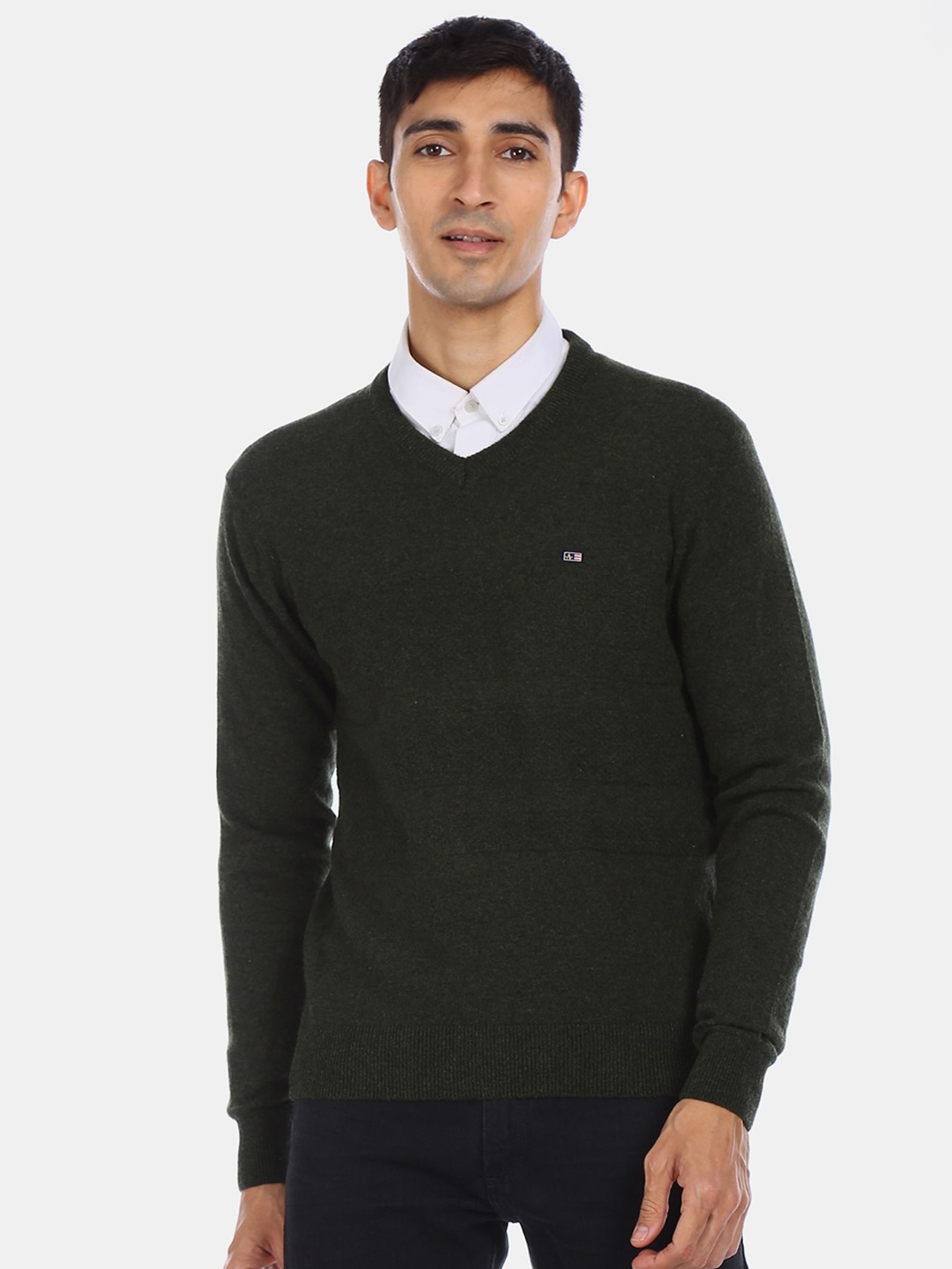 

Arrow Sport Men Green Solid Pullover Sweater