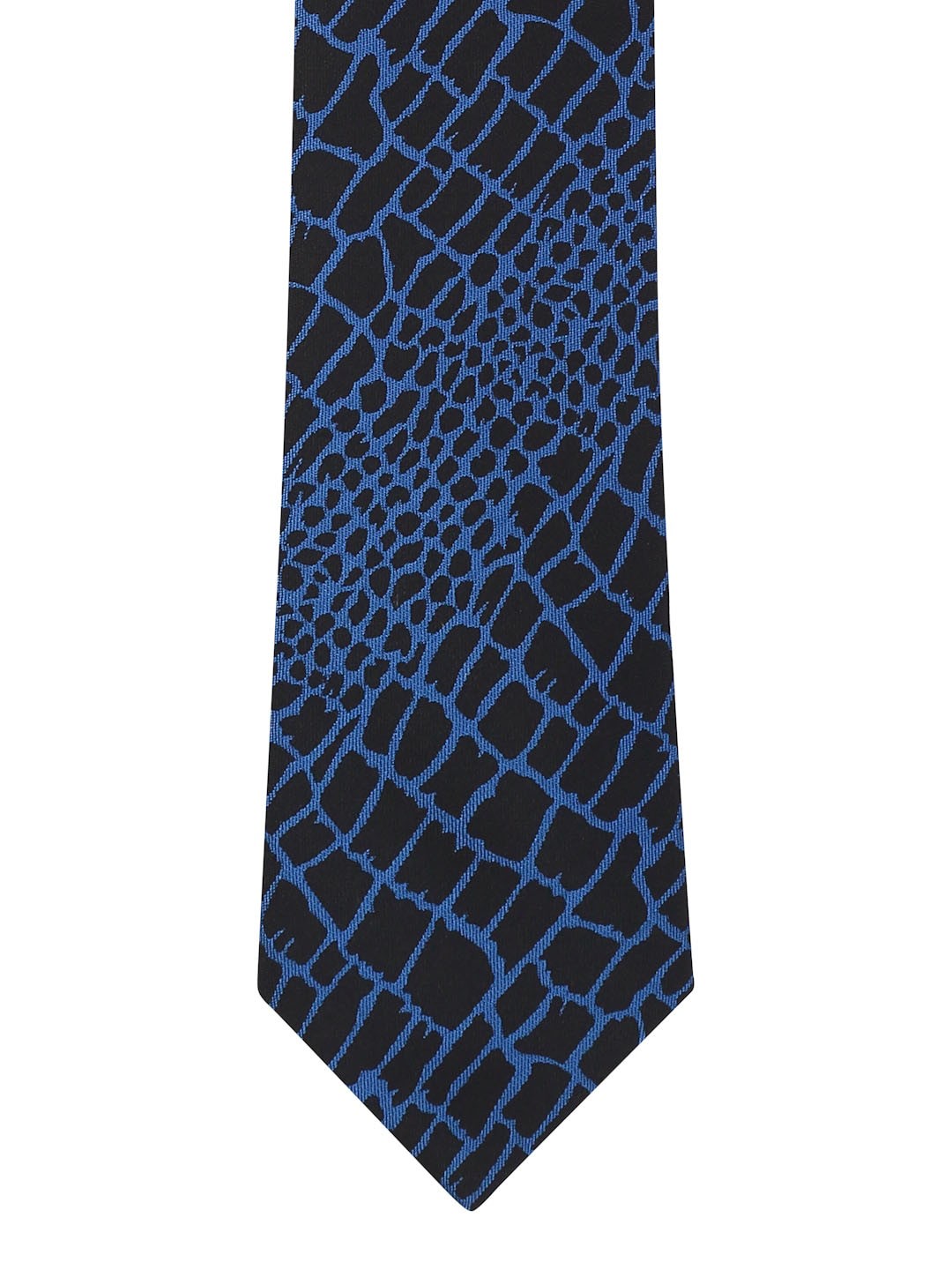 

Alvaro Castagnino Blue & Black Printed Broad Tie