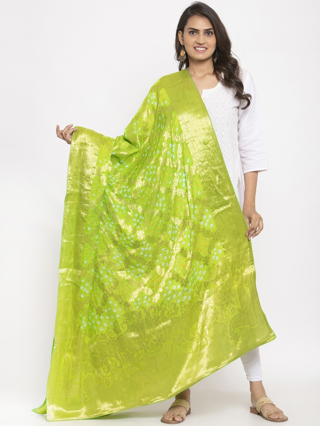 

panchhi Lime Green & Gold-Toned Woven Design Dupatta